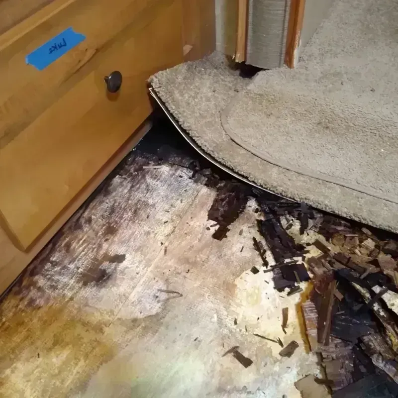 Wood Floor Water Damage in Dearborn, MI